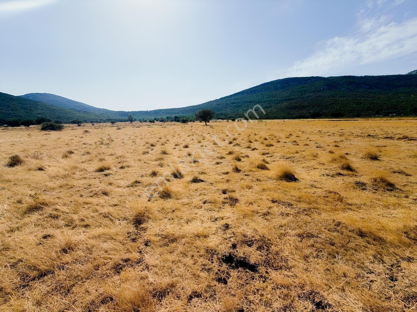 Startkey Ada Gayrimenkul'den Ovacıkta 1.350 M2 Düz Arazi — fotoğraf 4