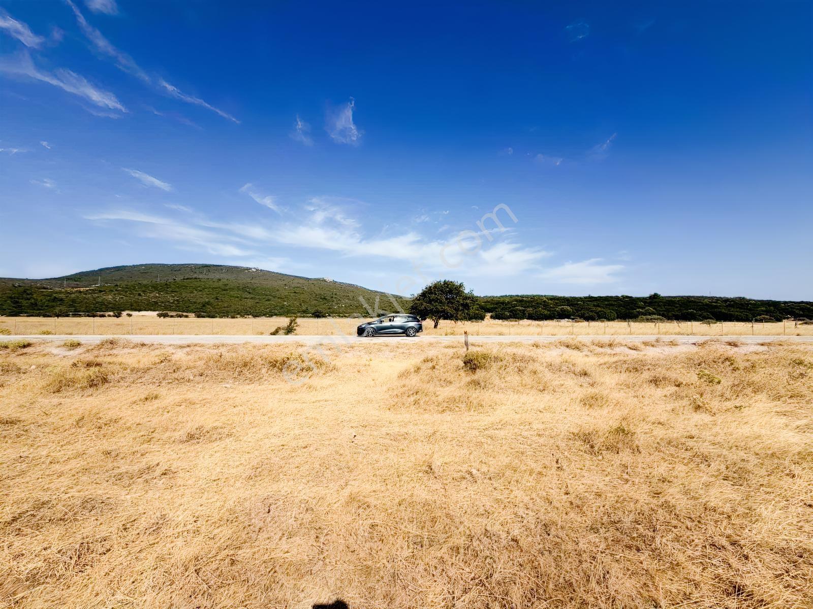 Startkey Ada Gayrimenkul'den Ovacıkta 1.350 M2 Düz Arazi — fotoğraf 5