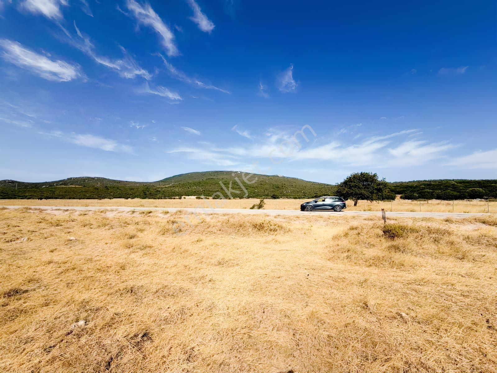 Startkey Ada Gayrimenkul'den Ovacıkta 1.350 M2 Düz Arazi — fotoğraf 6