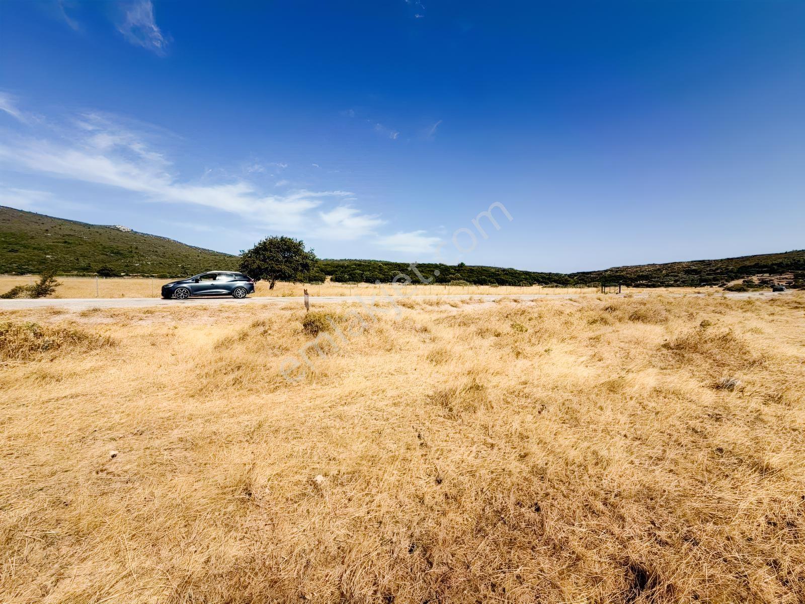 Startkey Ada Gayrimenkul'den Ovacıkta 1.350 M2 Düz Arazi — fotoğraf 7