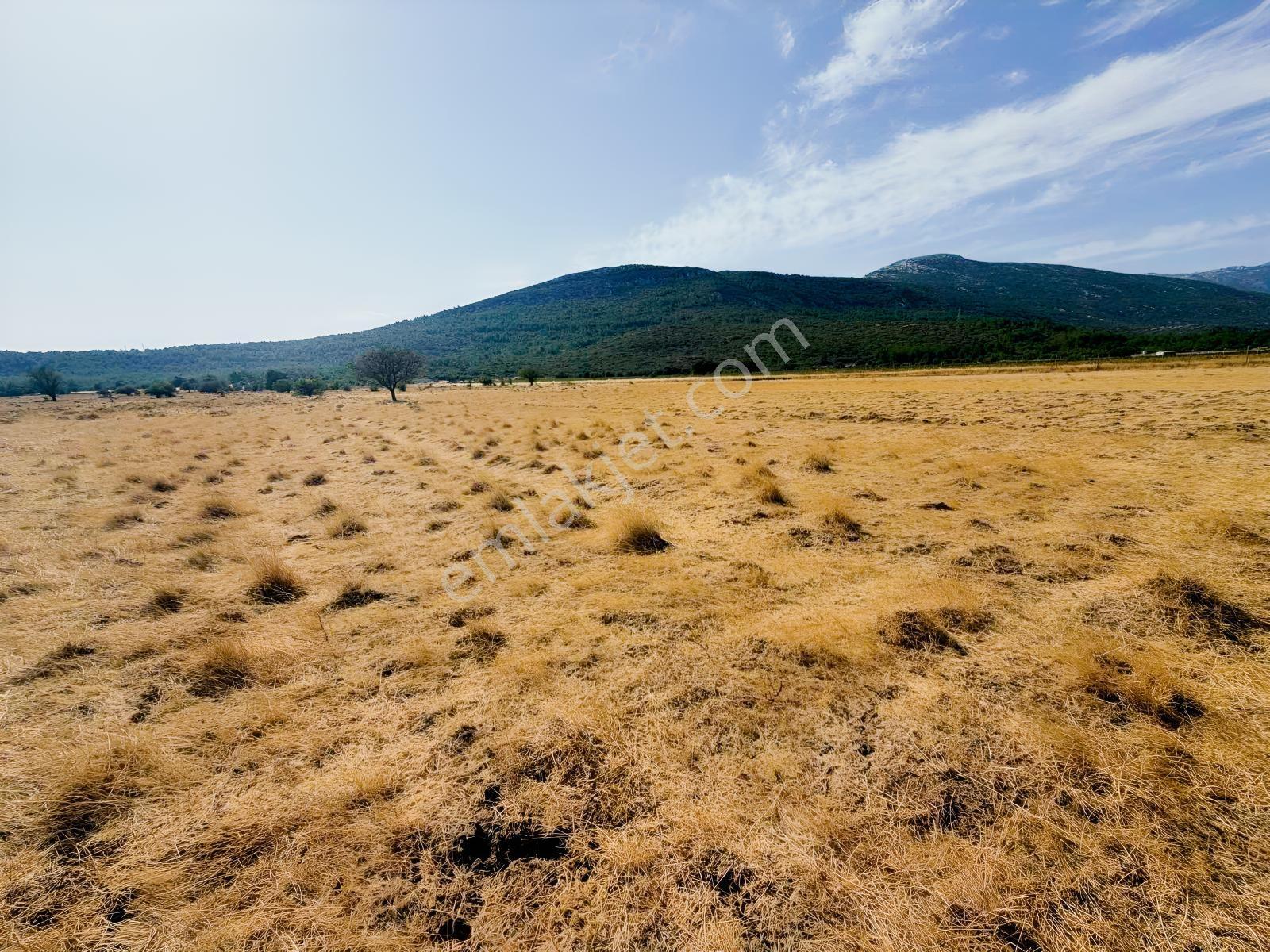Startkey Ada Gayrimenkul'den Ovacıkta 1.350 M2 Düz Arazi — fotoğraf 8
