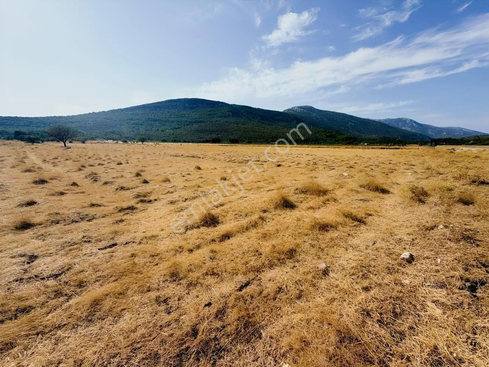 Startkey Ada Gayrimenkul'den Ovacıkta 1.350 M2 Düz Arazi — fotoğraf 9