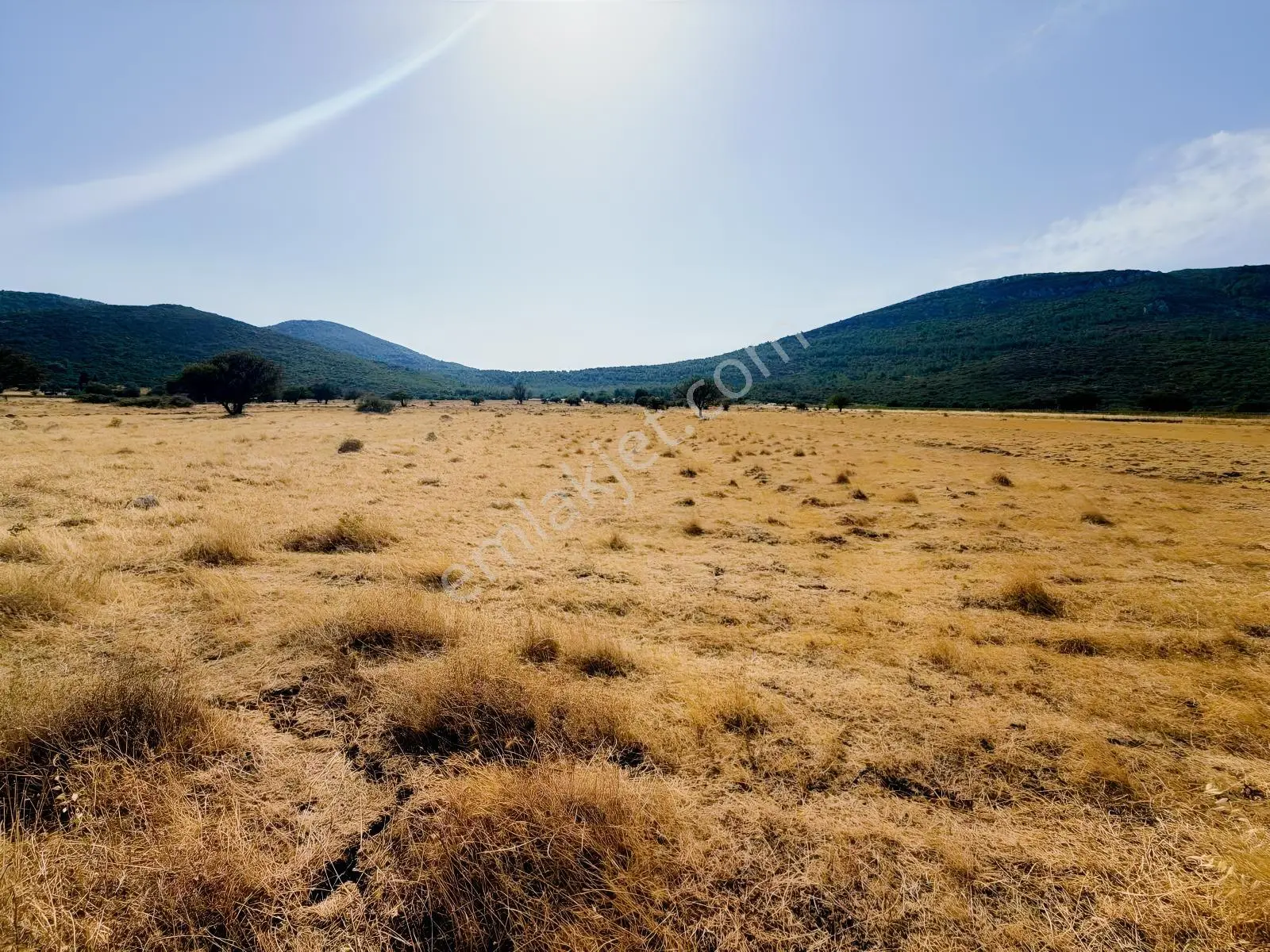 Startkey Ada Gayrimenkul'den Ovacıkta 1.350 M2 Düz Arazi — fotoğraf 10