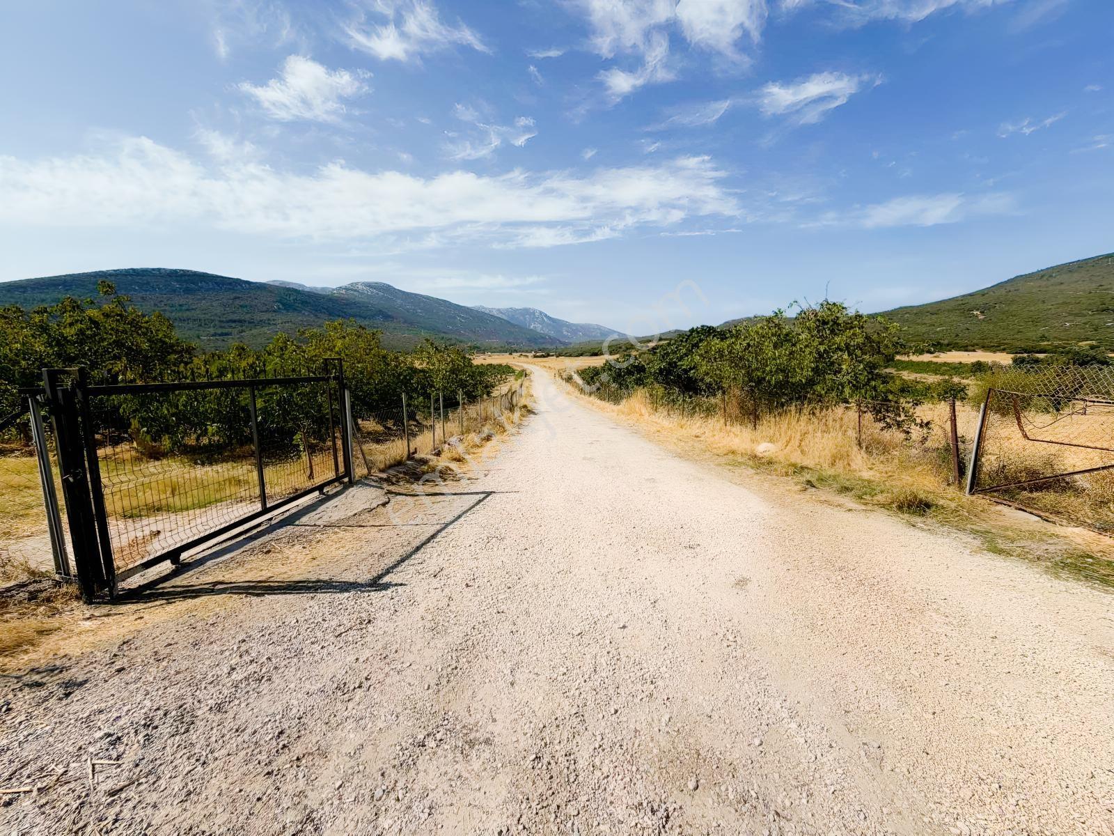 Startkey Ada Gayrimenkul'den Ovacıkta 1.350 M2 Düz Arazi — fotoğraf 18