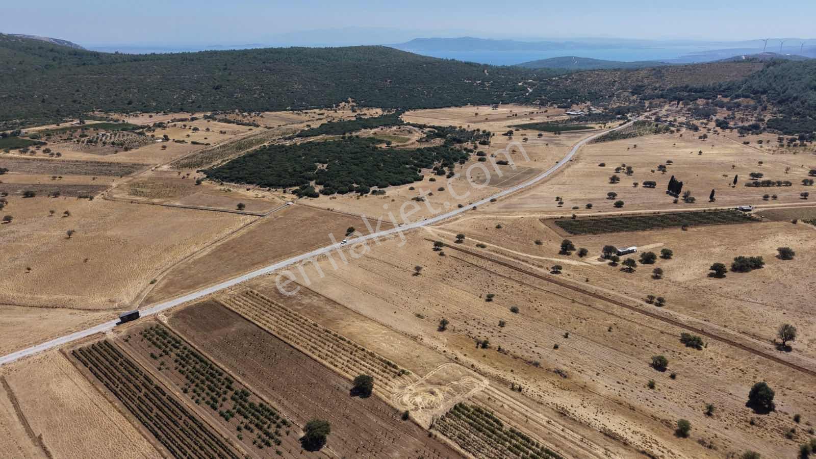 Startkey Ada Gayrimenkul'den Ovacıkta 1.350 M2 Düz Arazi — fotoğraf 21