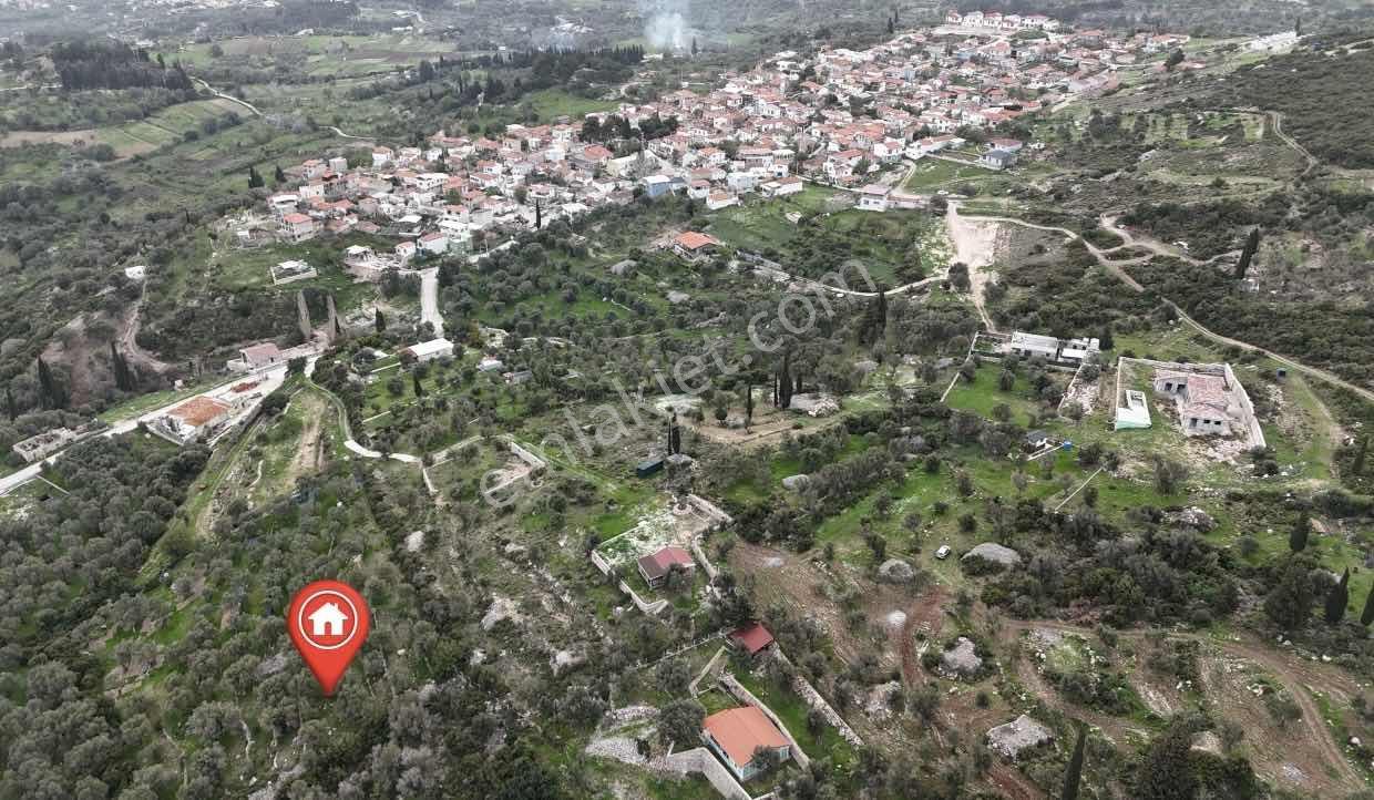 Kösedere De 2.463 M2 Deniz Manzaralı Zeytinlik — fotoğraf 8