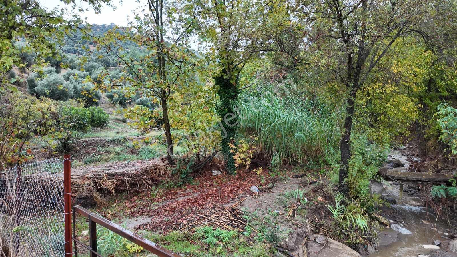 Doğayla İç İçe Aydın Efeler Musluca Mahallesinde Satılık Tarla — fotoğraf 4