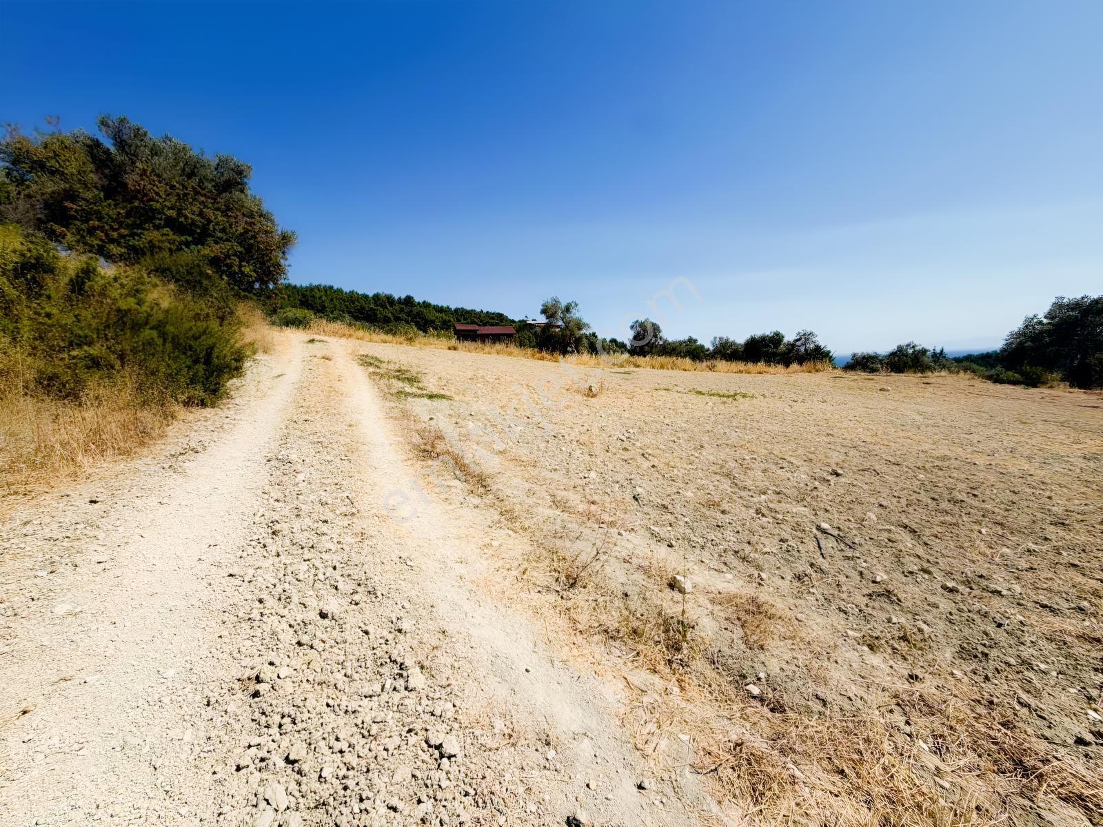 İnecik Köyünde 1590 M2 Satılık Deniz Manzaralı Arazi — fotoğraf 2