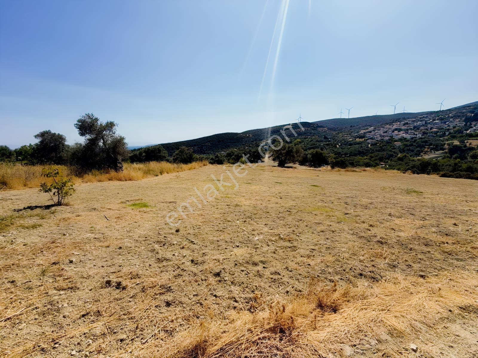İnecik Köyünde 1590 M2 Satılık Deniz Manzaralı Arazi — fotoğraf 3