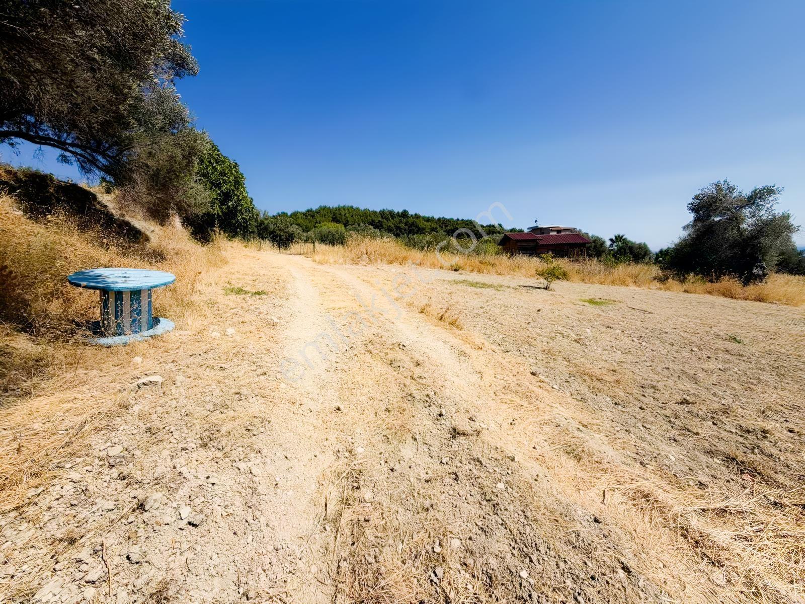 İnecik Köyünde 1590 M2 Satılık Deniz Manzaralı Arazi — fotoğraf 4