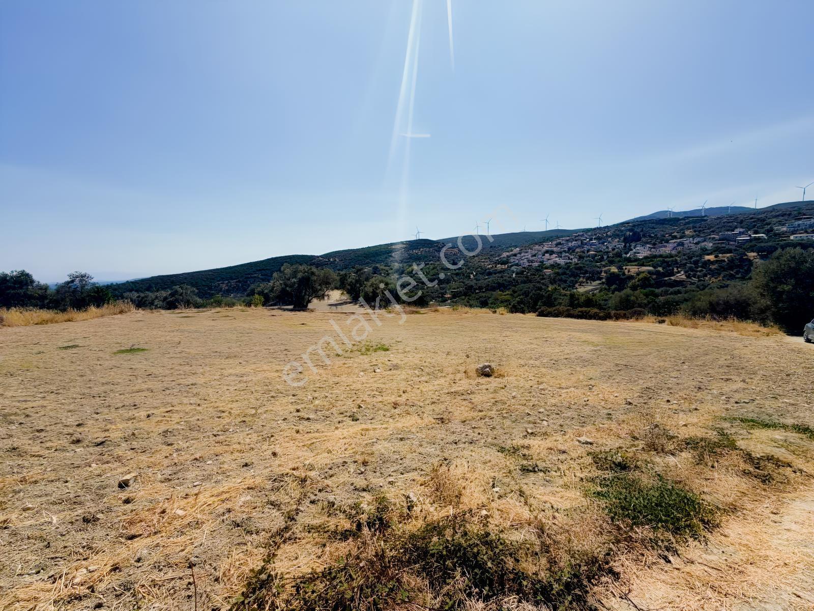 İnecik Köyünde 1590 M2 Satılık Deniz Manzaralı Arazi — fotoğraf 5