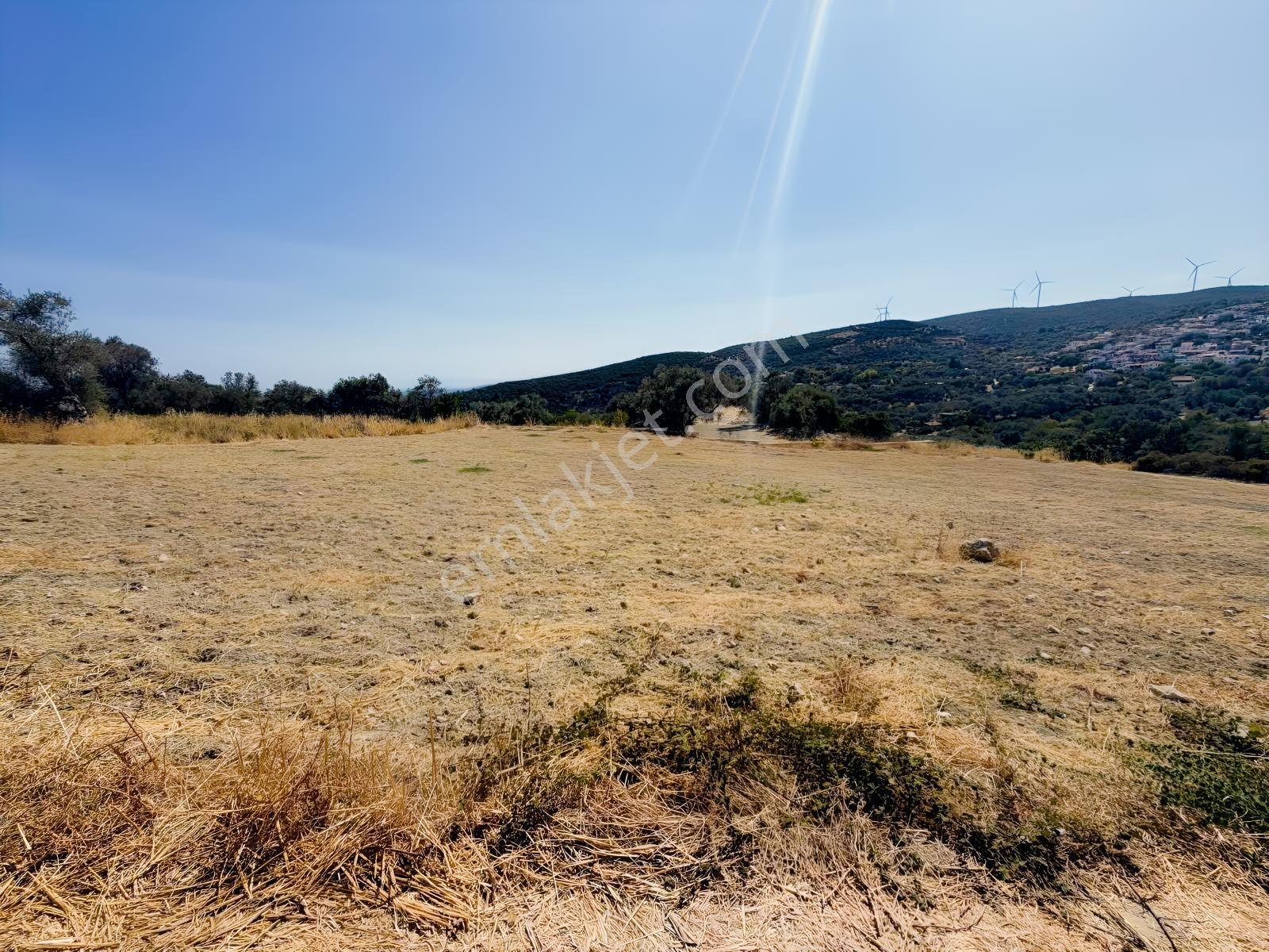 İnecik Köyünde 1590 M2 Satılık Deniz Manzaralı Arazi — fotoğraf 6
