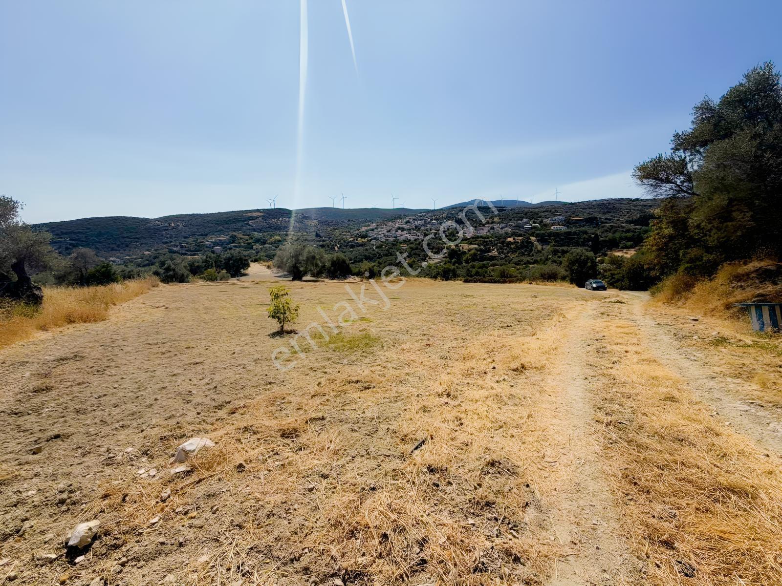 İnecik Köyünde 1590 M2 Satılık Deniz Manzaralı Arazi — fotoğraf 7