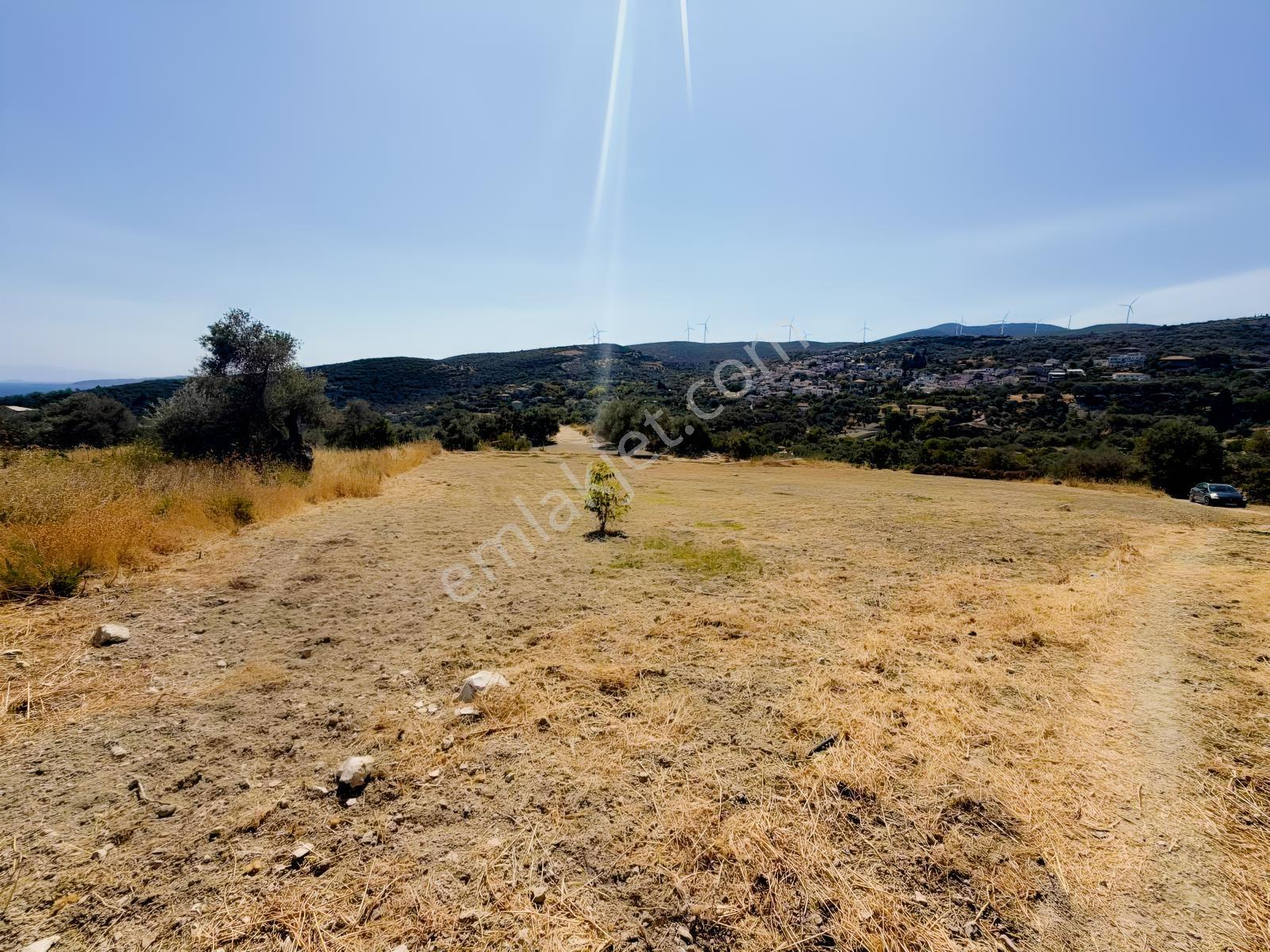 İnecik Köyünde 1590 M2 Satılık Deniz Manzaralı Arazi — fotoğraf 8