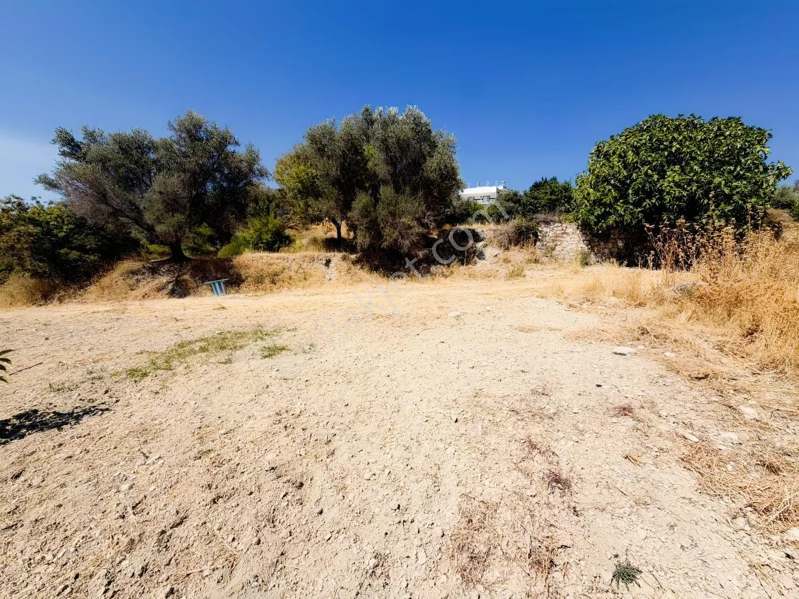İnecik Köyünde 1590 M2 Satılık Deniz Manzaralı Arazi — fotoğraf 13