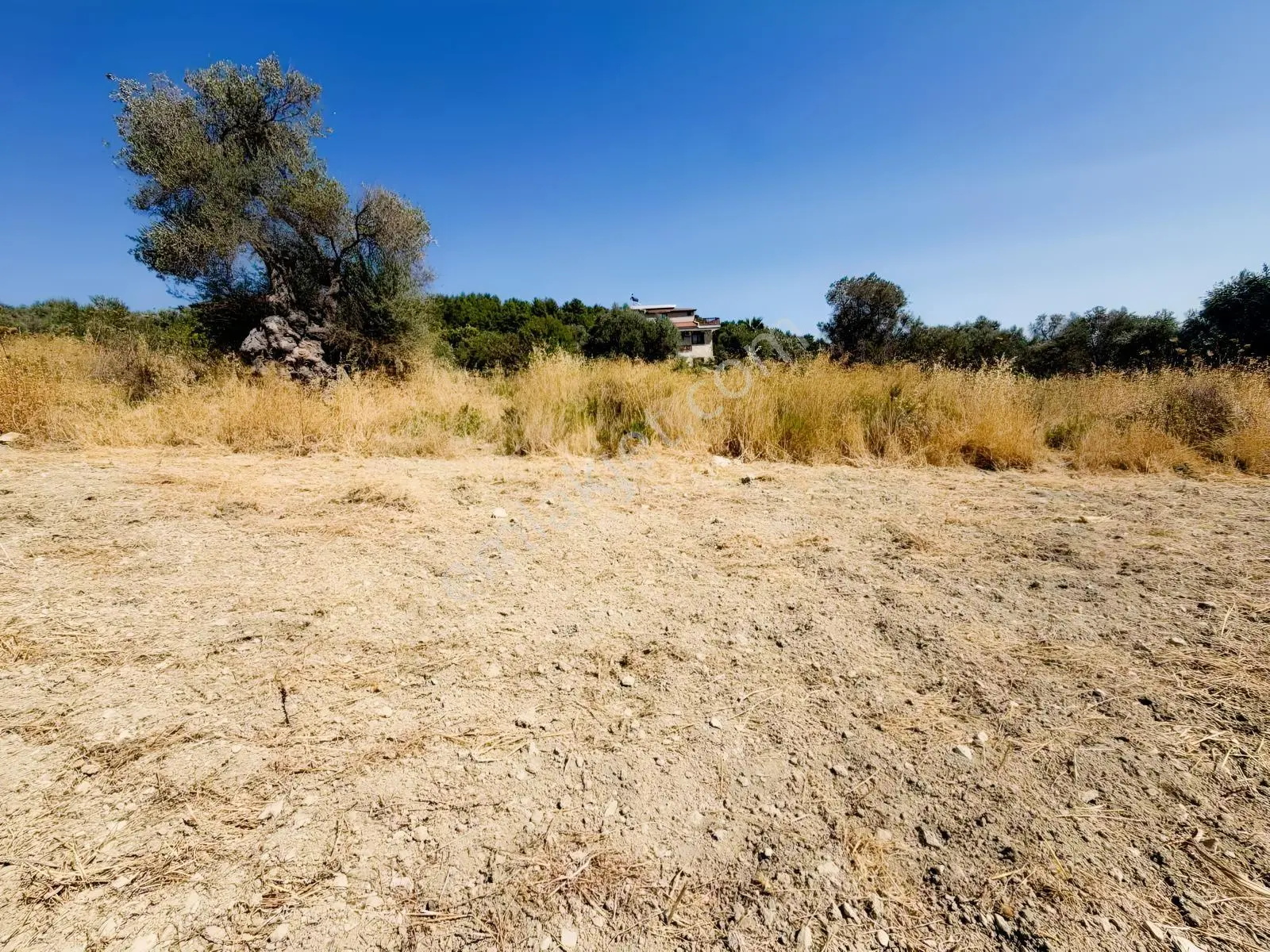İnecik Köyünde 1590 M2 Satılık Deniz Manzaralı Arazi — fotoğraf 17