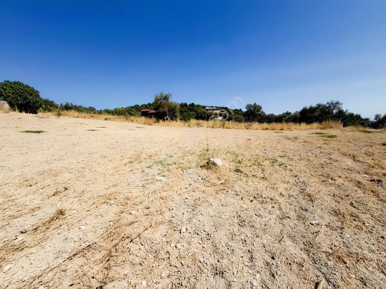 İnecik Köyünde 1590 M2 Satılık Deniz Manzaralı Arazi — fotoğraf 19