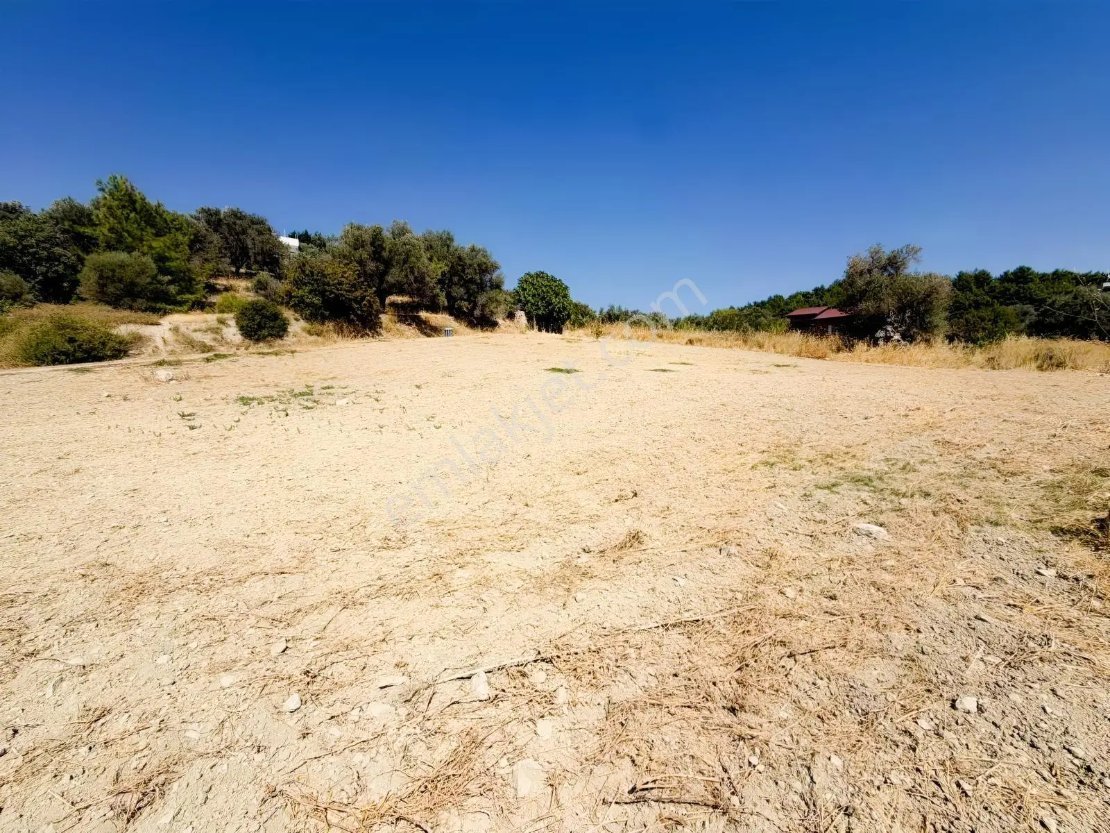 İnecik Köyünde 1590 M2 Satılık Deniz Manzaralı Arazi — fotoğraf 21