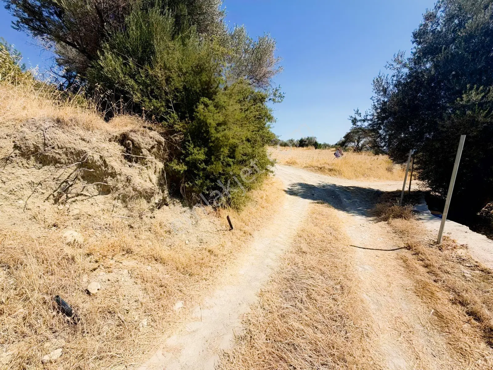 İnecik Köyünde 1590 M2 Satılık Deniz Manzaralı Arazi — fotoğraf 22