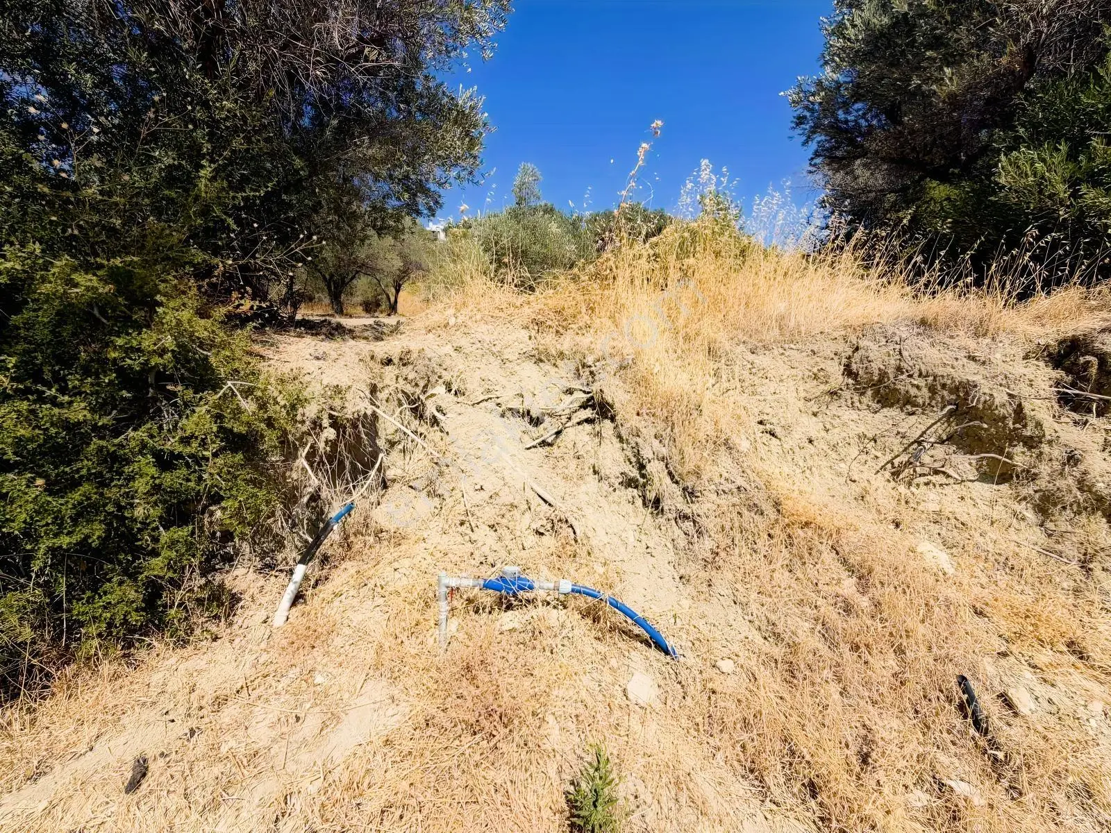 İnecik Köyünde 1590 M2 Satılık Deniz Manzaralı Arazi — fotoğraf 23