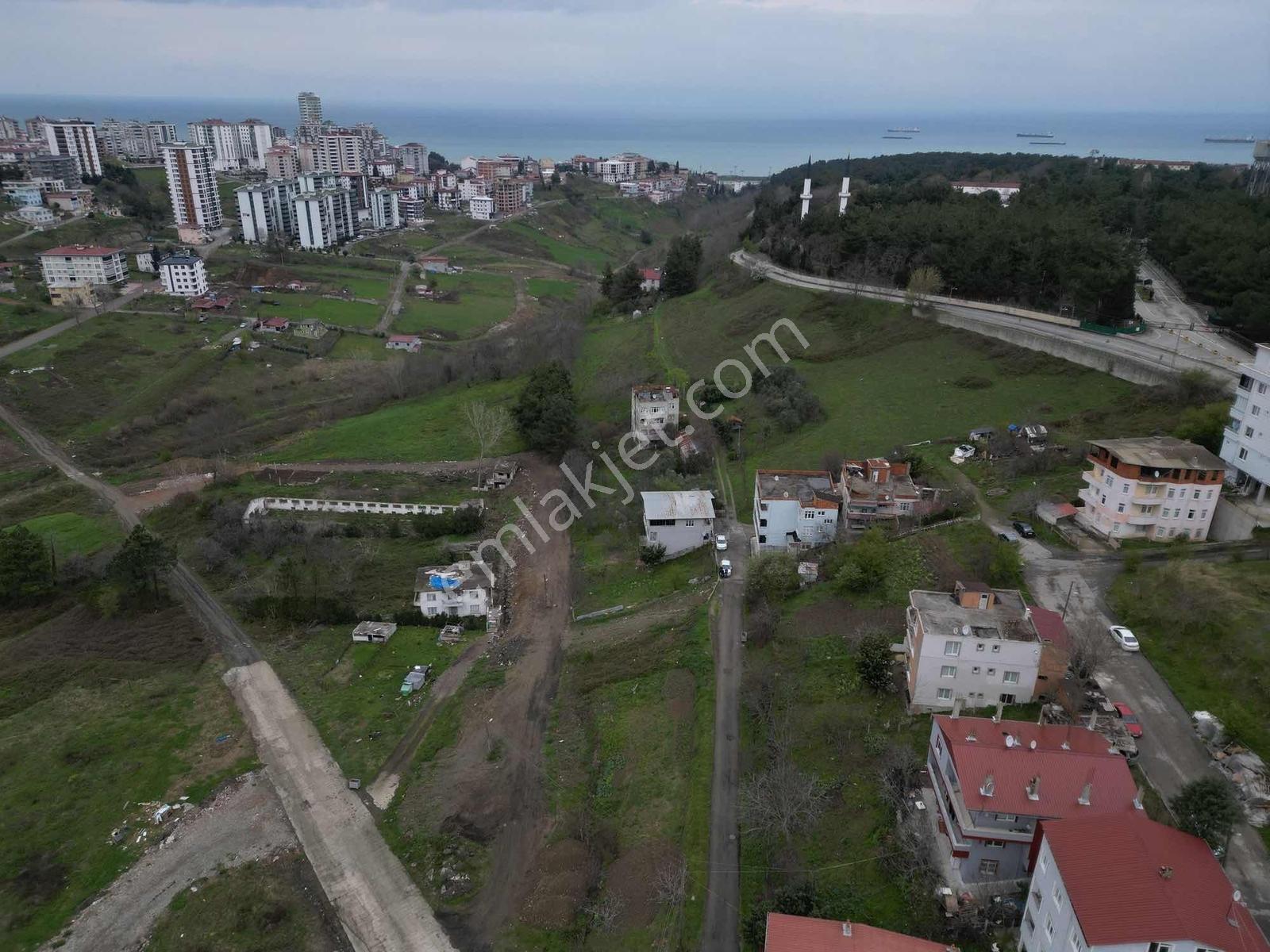 Hisar'dan Doga Manzaralı Arsa Değerine Müstakil Yapılı Ev — fotoğraf 29