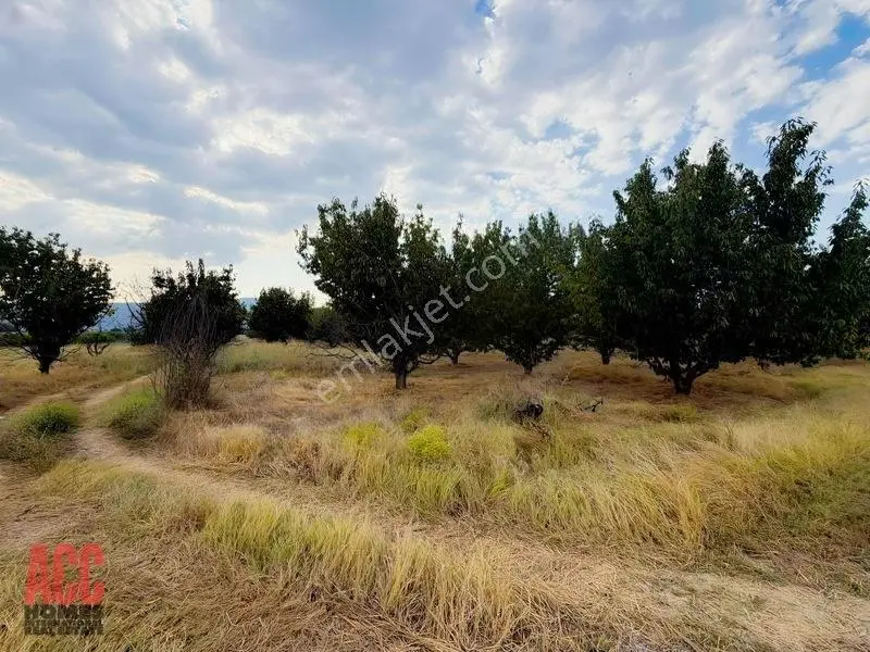 Acc Homes'tan Burdur Bucak'ta Fırsat Yatırımlık Arsa — fotoğraf 2