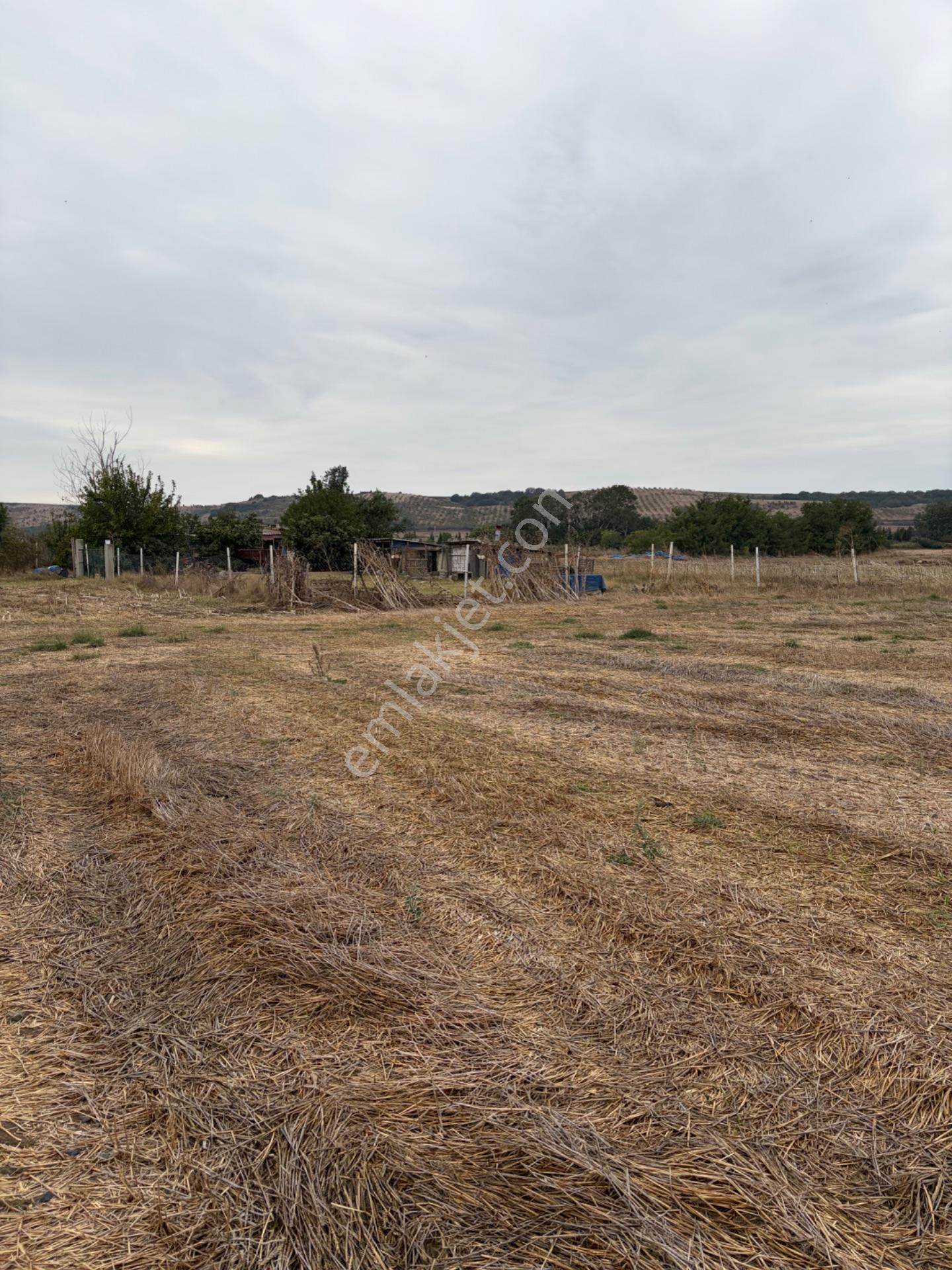 Epa Emre Koç’tan Tekirdağ Muratlı İmarlı İfrazlı — fotoğraf 5