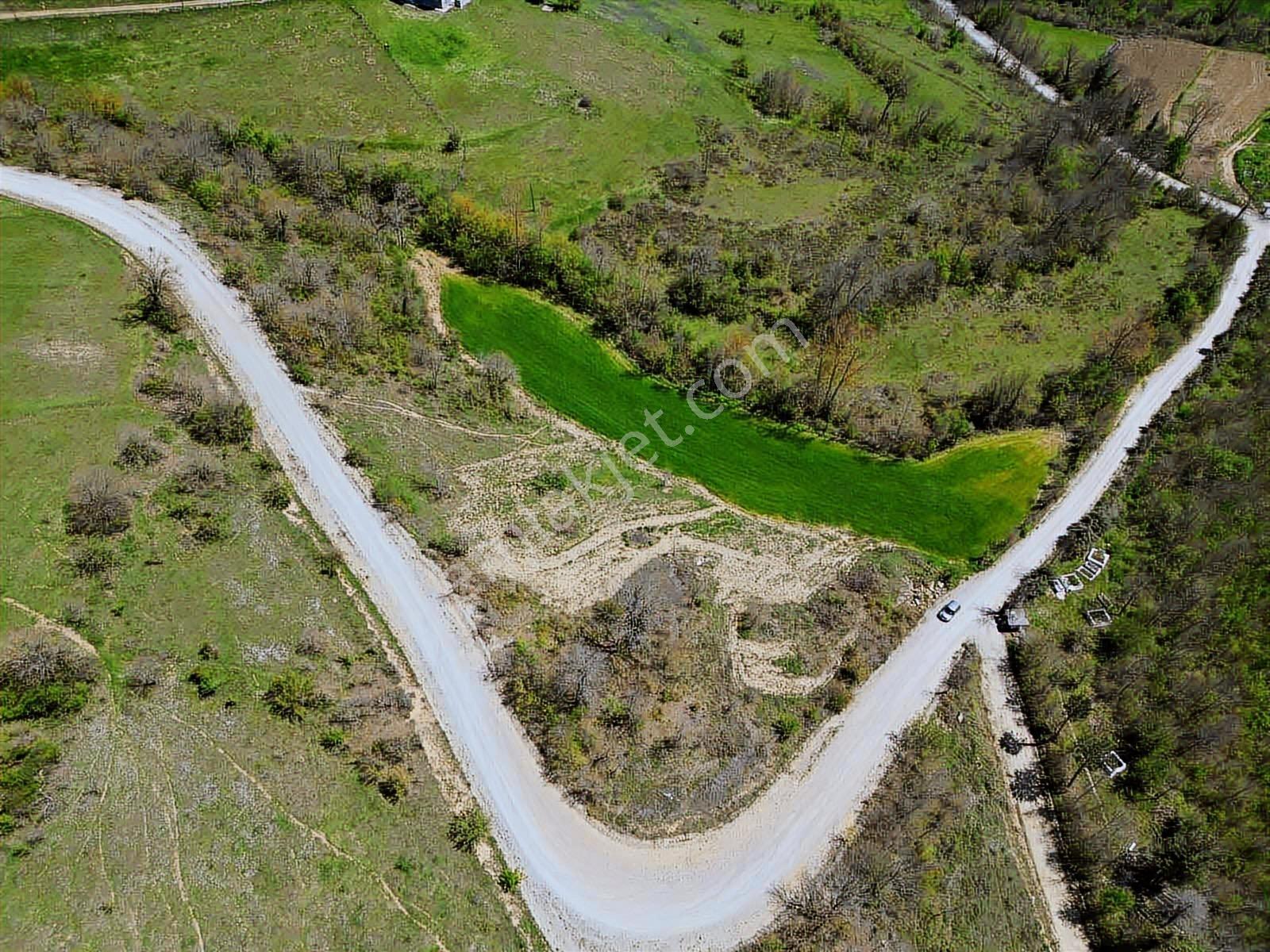 Hisar'dan Kavak Degirmencili Köyünde Köşe Başı Tarla — fotoğraf 2