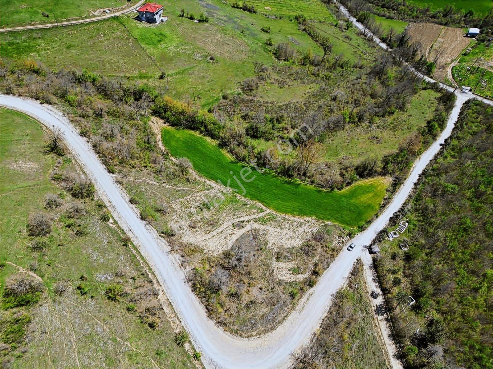 Hisar'dan Kavak Degirmencili Köyünde Köşe Başı Tarla — fotoğraf 3