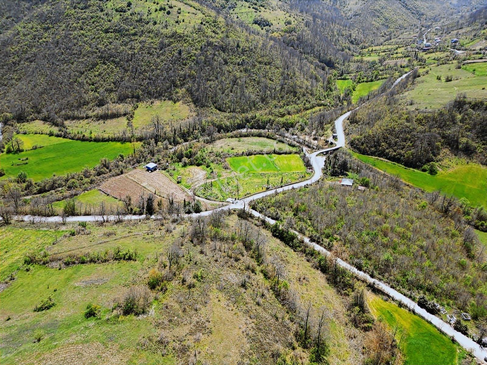 Hisar'dan Kavak Degirmencili Köyünde Köşe Başı Tarla — fotoğraf 5