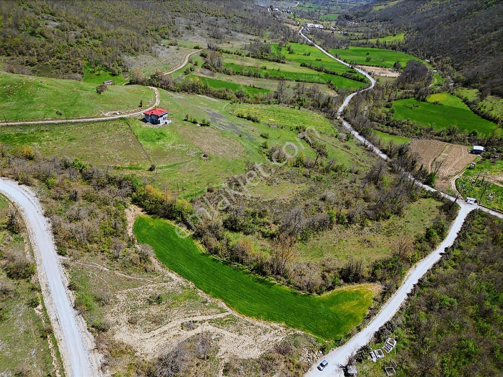 Hisar'dan Kavak Degirmencili Köyünde Köşe Başı Tarla — fotoğraf 6