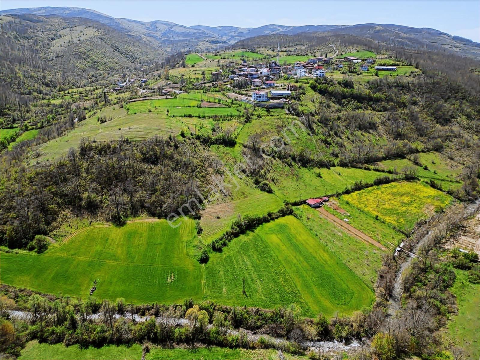 Hisar'dan Kavak Degirmencili Köyünde Köşe Başı Tarla — fotoğraf 7