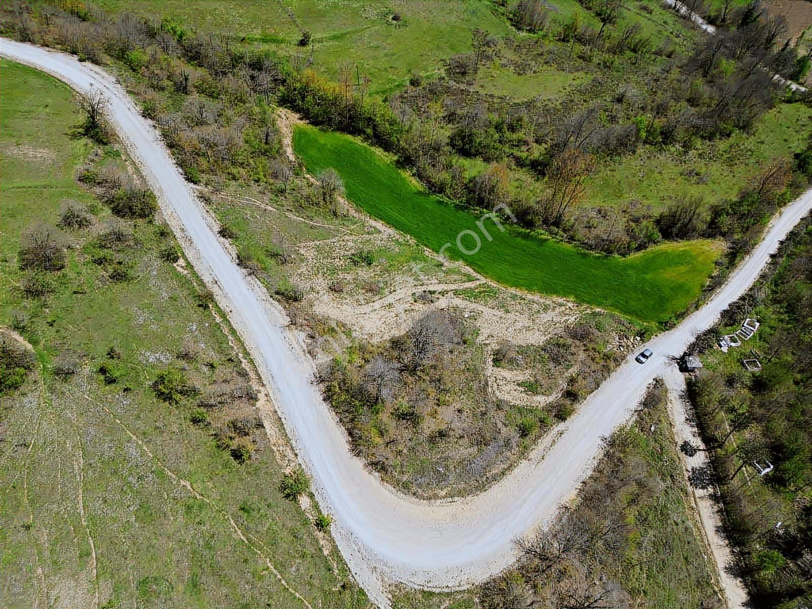 Hisar'dan Kavak Degirmencili Köyünde Köşe Başı Tarla — fotoğraf 8
