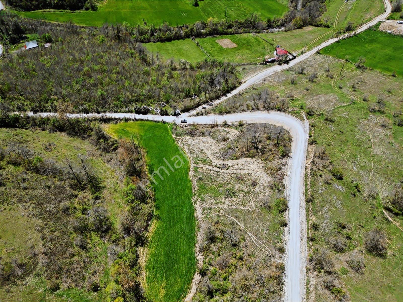 Hisar'dan Kavak Degirmencili Köyünde Köşe Başı Tarla — fotoğraf 9