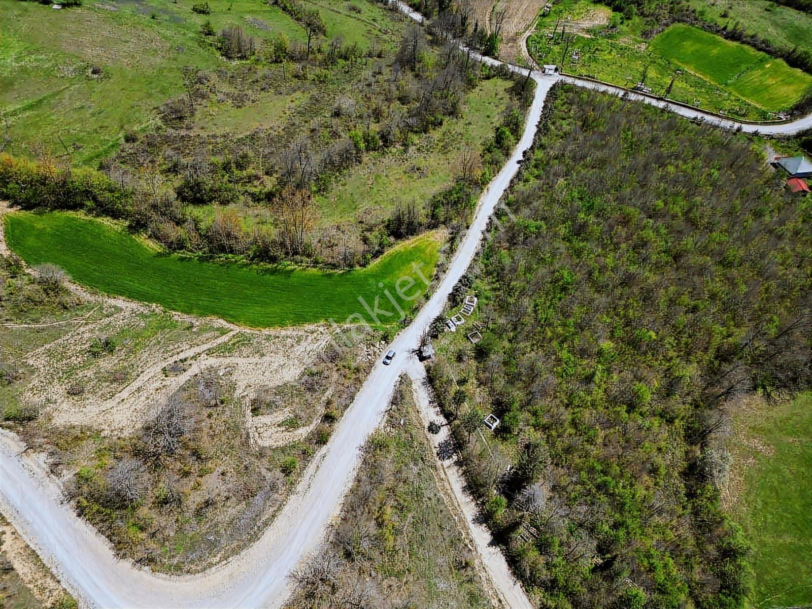 Hisar'dan Kavak Degirmencili Köyünde Köşe Başı Tarla — fotoğraf 11