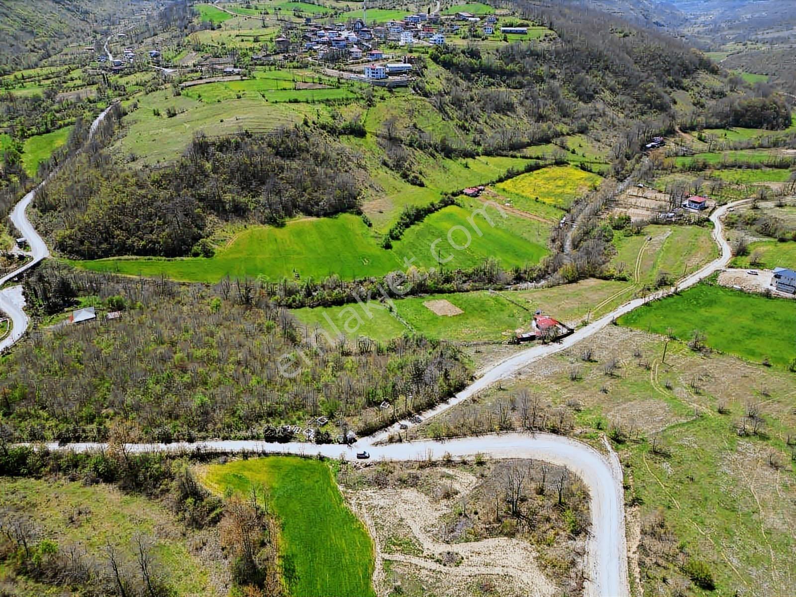 Hisar'dan Kavak Degirmencili Köyünde Köşe Başı Tarla — fotoğraf 12
