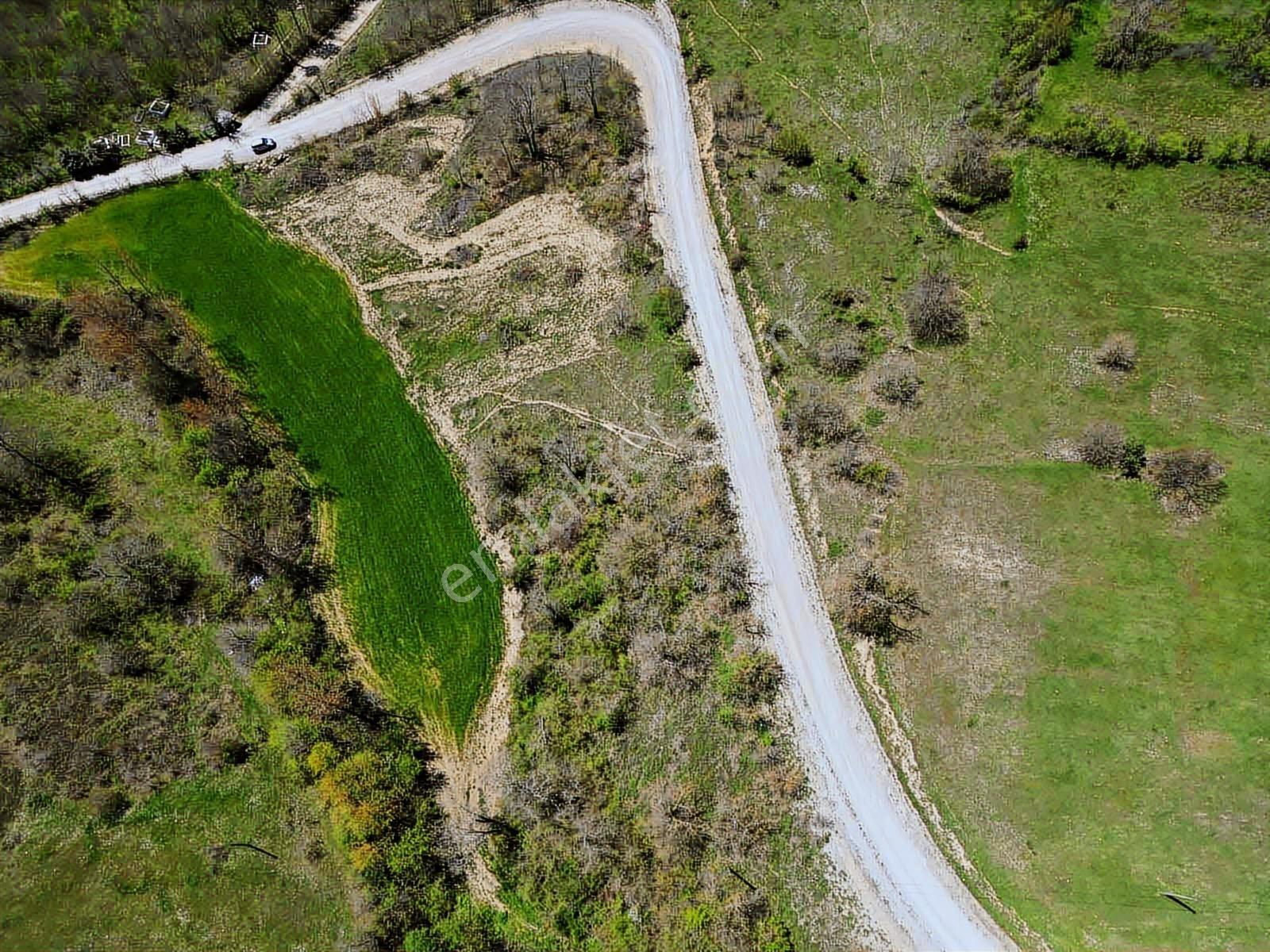 Hisar'dan Kavak Degirmencili Köyünde Köşe Başı Tarla — fotoğraf 14