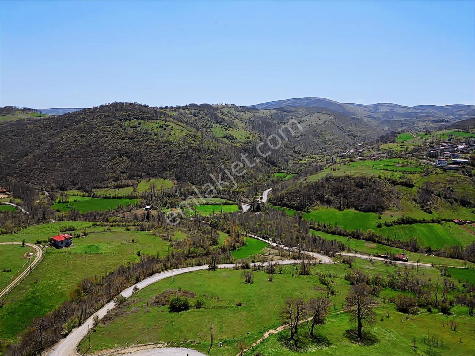 Hisar'dan Kavak Degirmencili Köyünde Köşe Başı Tarla — fotoğraf 16