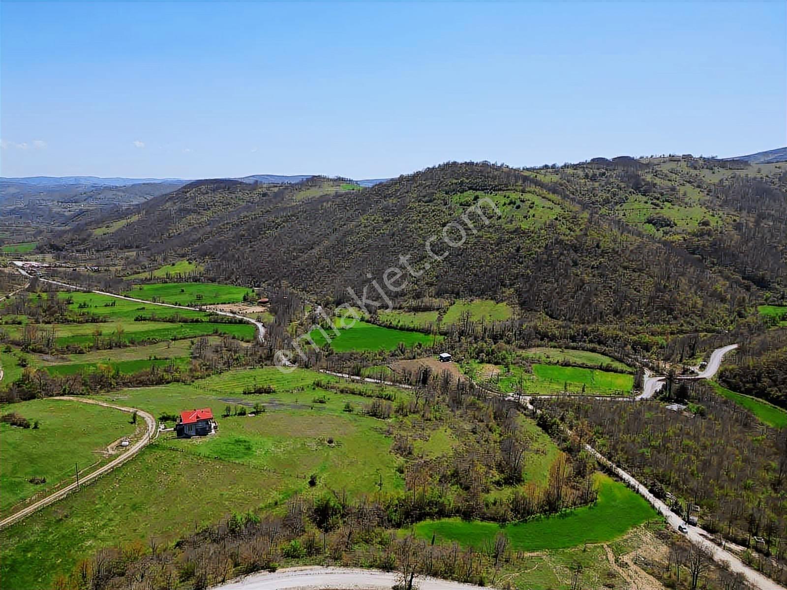 Hisar'dan Kavak Degirmencili Köyünde Köşe Başı Tarla — fotoğraf 17