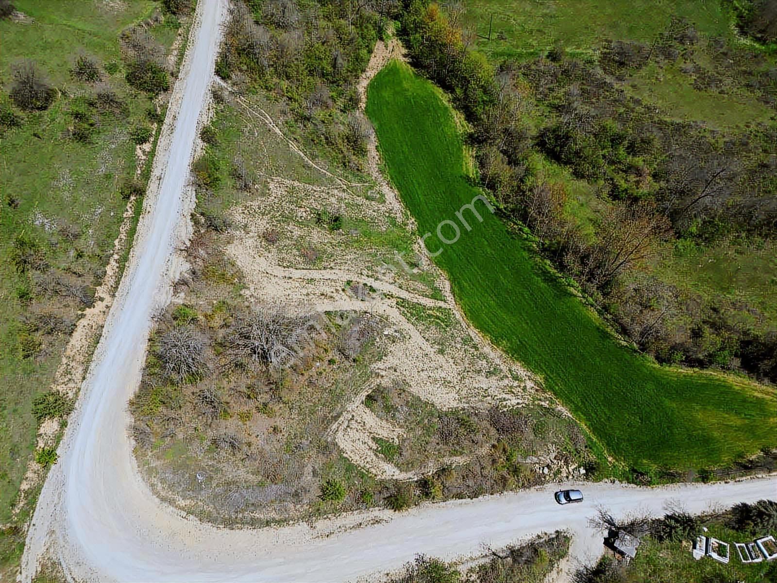 Hisar'dan Kavak Degirmencili Köyünde Köşe Başı Tarla — fotoğraf 18