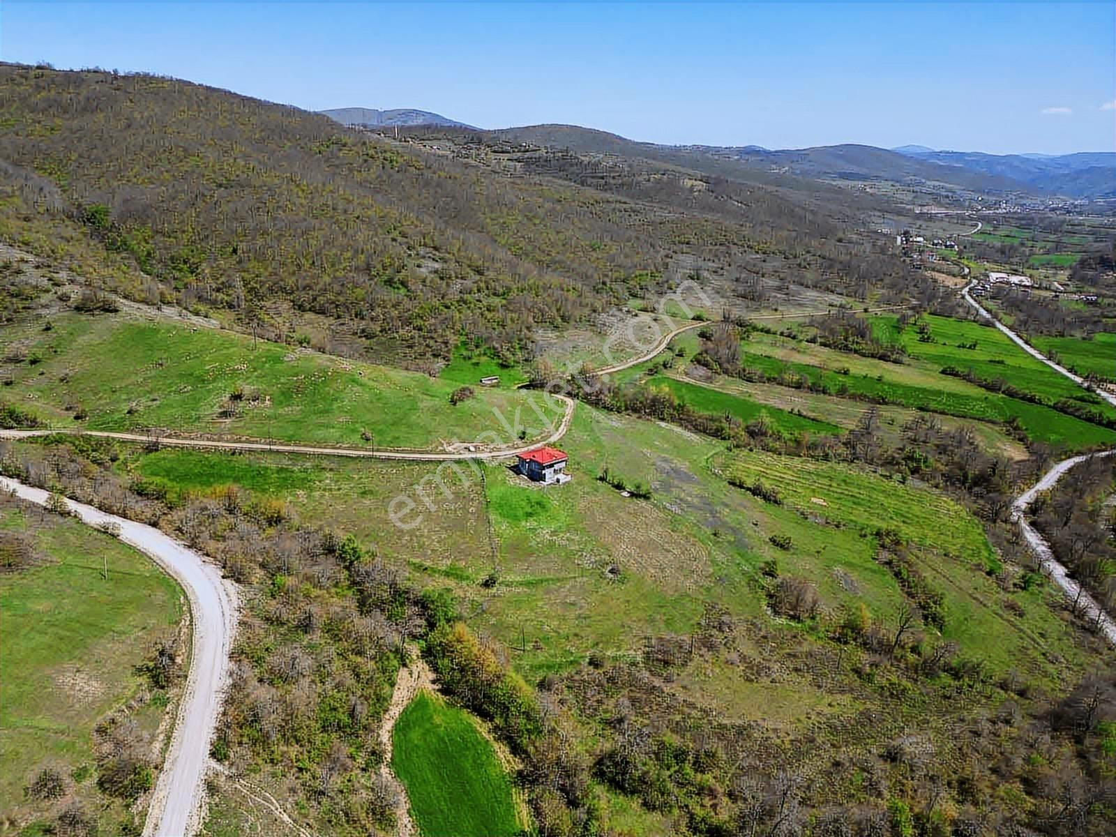 Hisar'dan Kavak Degirmencili Köyünde Köşe Başı Tarla — fotoğraf 19