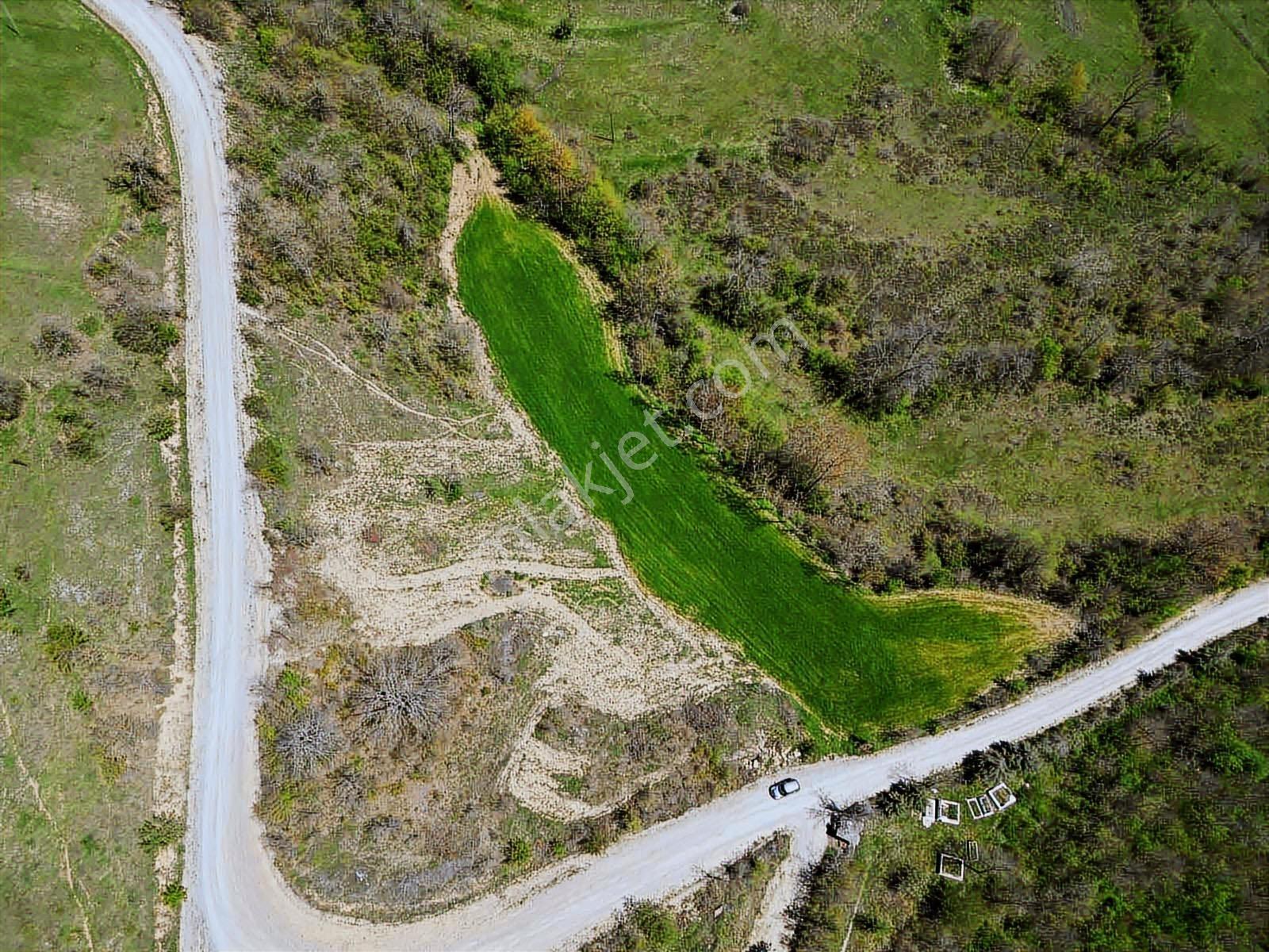 Hisar'dan Kavak Degirmencili Köyünde Köşe Başı Tarla — fotoğraf 21