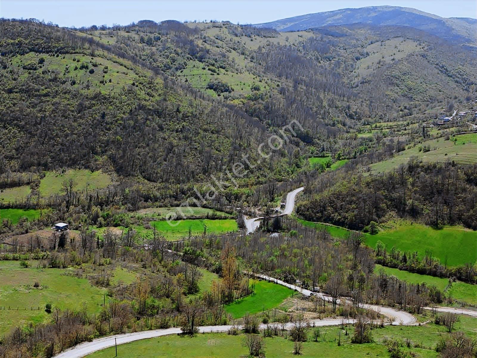 Hisar'dan Kavak Degirmencili Köyünde Köşe Başı Tarla — fotoğraf 22