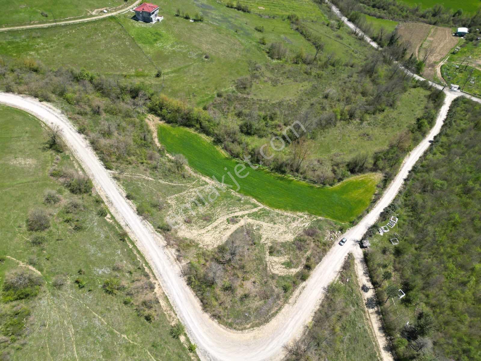 Hisar'dan Kavak Degirmencili Köyünde Köşe Başı Tarla — fotoğraf 23
