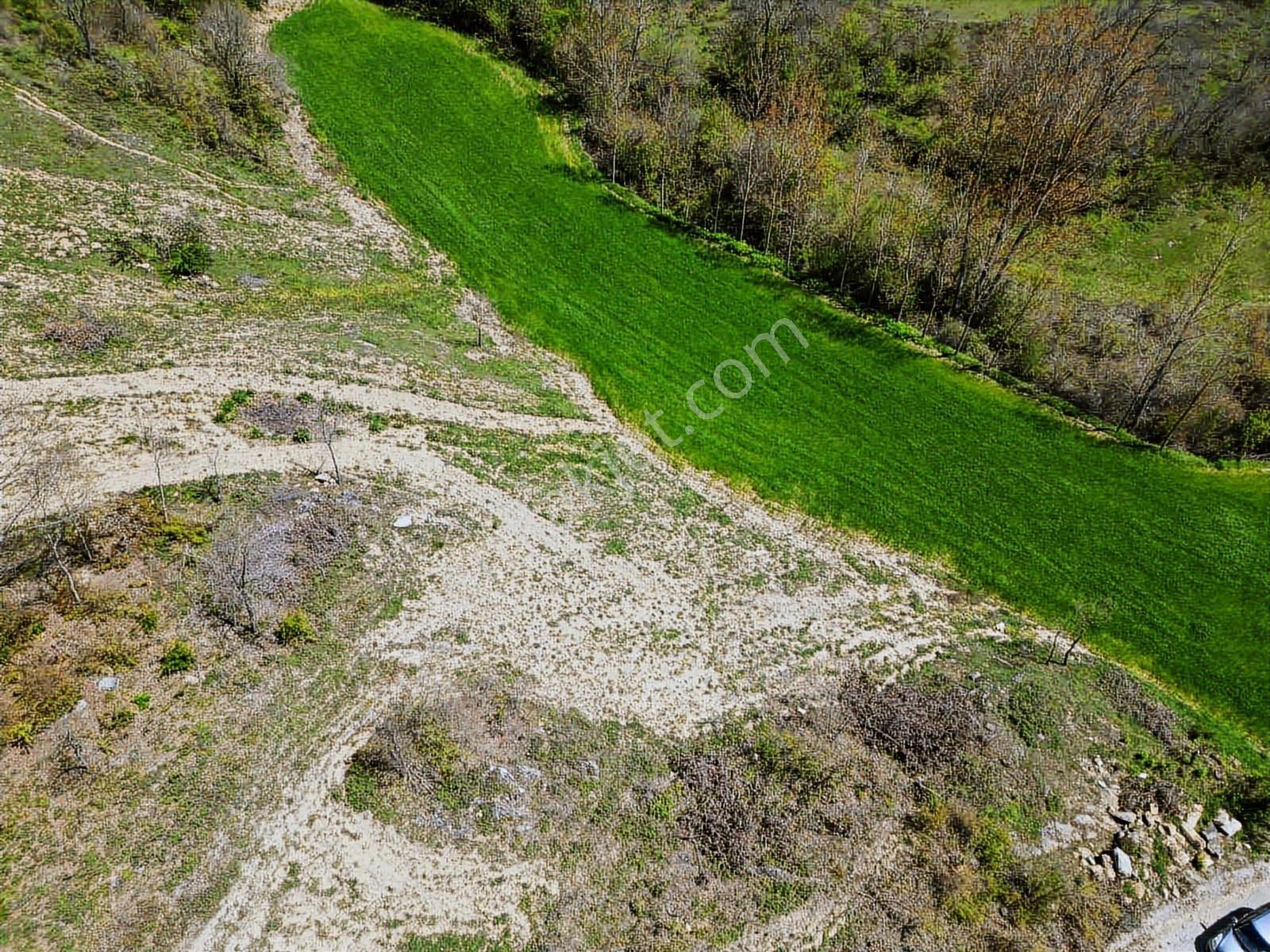 Hisar'dan Kavak Degirmencili Köyünde Köşe Başı Tarla — fotoğraf 24