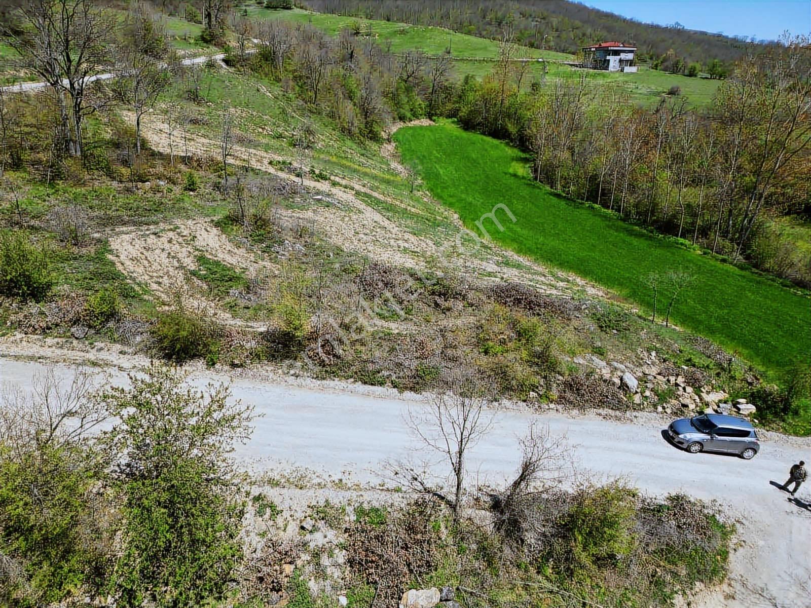 Hisar'dan Kavak Degirmencili Köyünde Köşe Başı Tarla — fotoğraf 25
