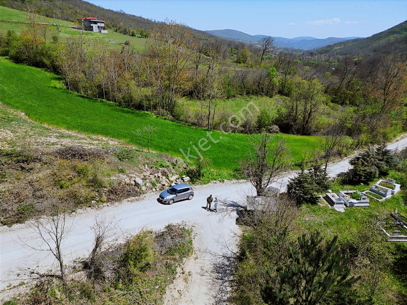 Hisar'dan Kavak Degirmencili Köyünde Köşe Başı Tarla — fotoğraf 26
