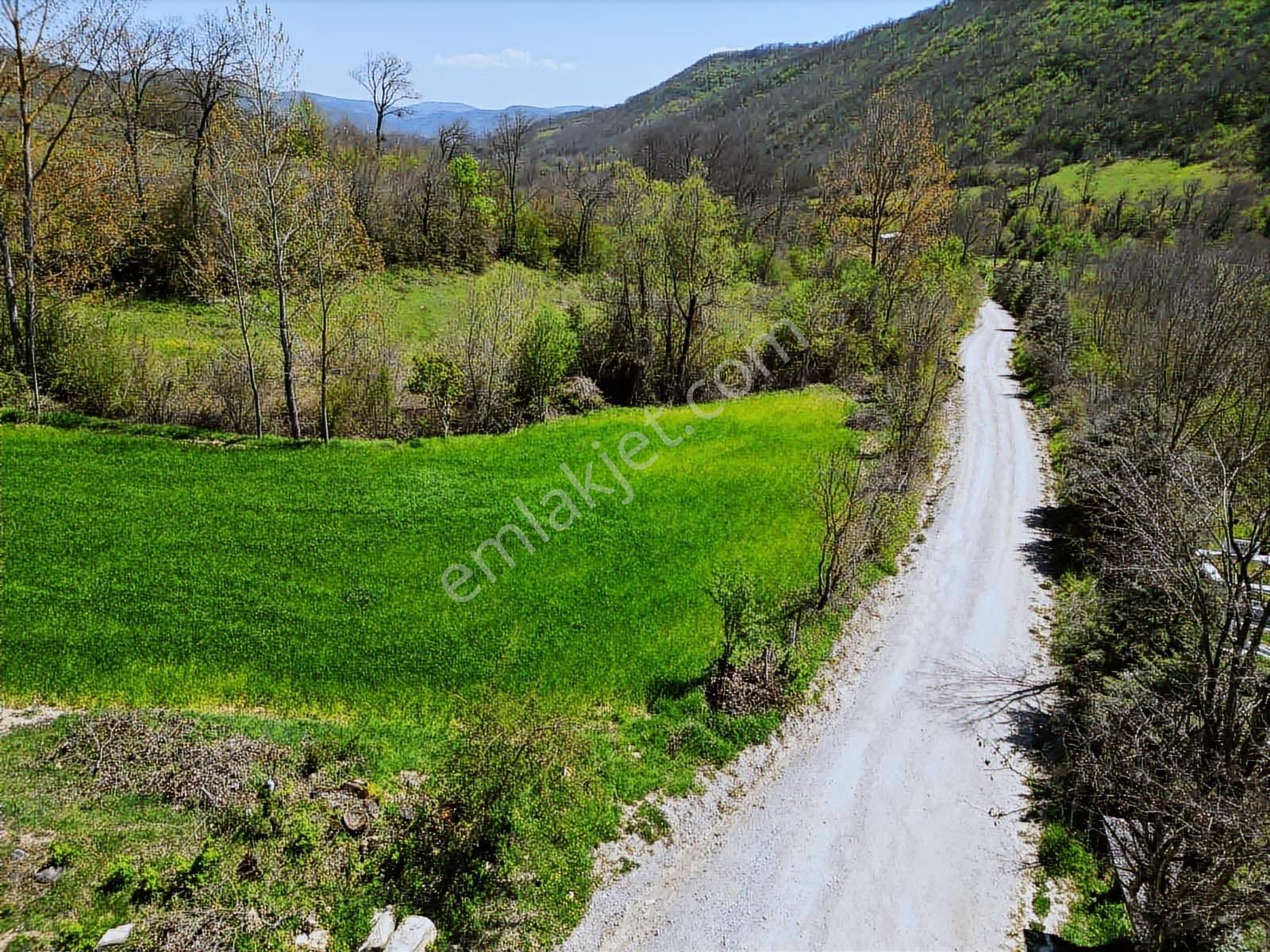 Hisar'dan Kavak Degirmencili Köyünde Köşe Başı Tarla — fotoğraf 27