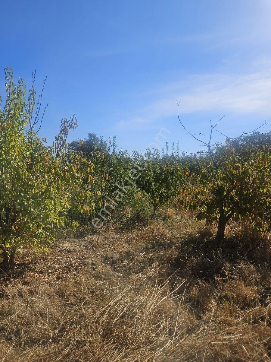 Bağyurdunda Tek Tapulu Satılık Tarla — fotoğraf 20
