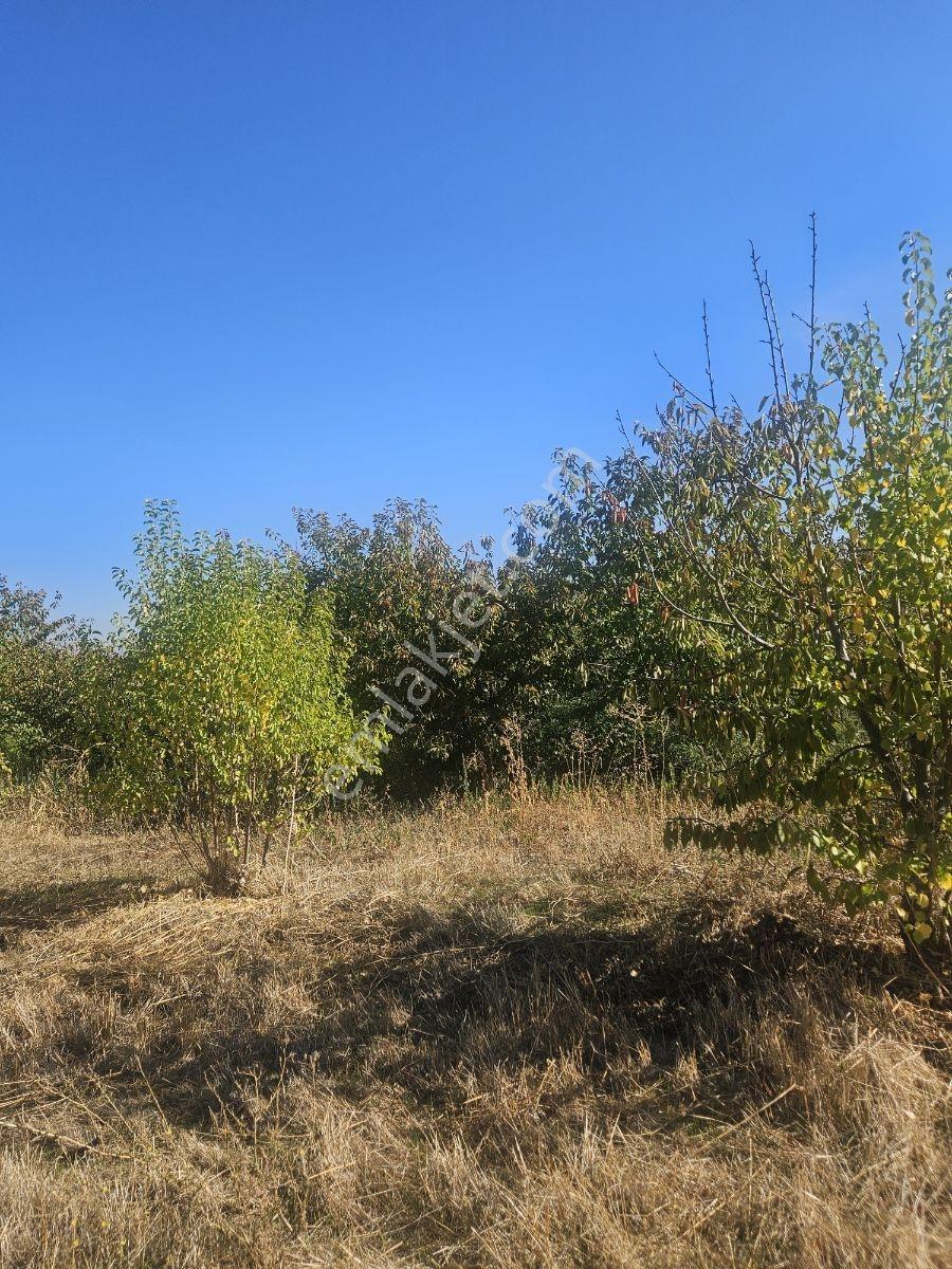 Bağyurdunda Tek Tapulu Satılık Tarla — fotoğraf 22